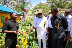 1788504454483 - Sacco Trend Magazine Group of men at a vegetable garden demonstration; a man in white tunic and hat points to a plant while a presenter in black explains.
