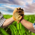 Importance of cold storage in agriculture