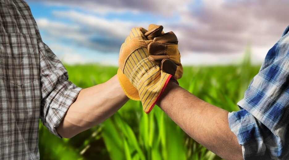 Two people in plaid shirts fist-bump each other outdoors in a green field with a cloudy sky behind them, wearing work gloves.