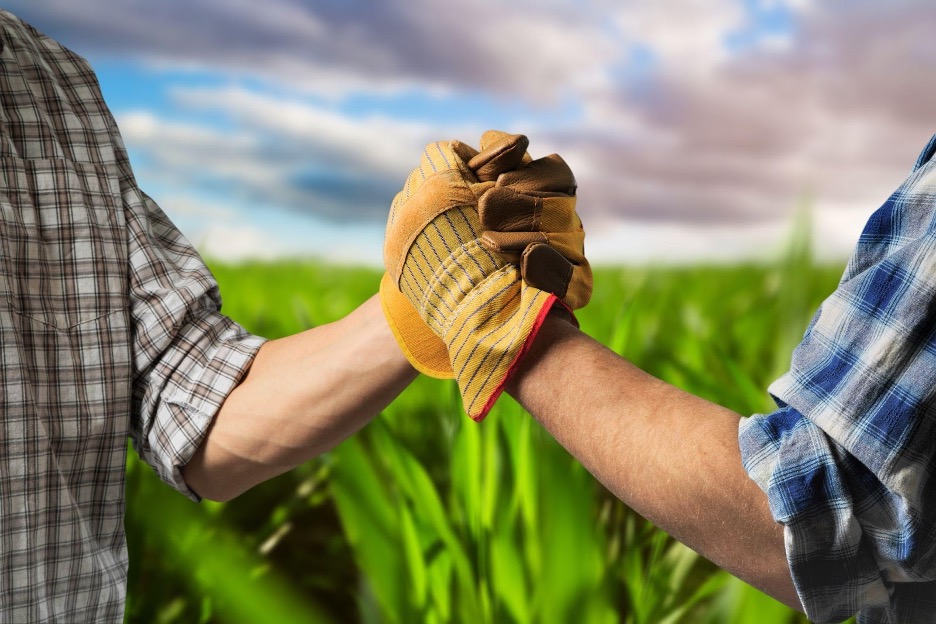 agriculture 1 - Sacco Trend Magazine Two people in plaid shirts fist-bump each other outdoors in a green field with a cloudy sky behind them, wearing work gloves.