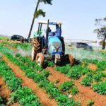 Signs of unhealthy goats every farmer should watch for