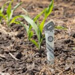 You’re living paycheck to paycheck. Here’s how your SACCO can help you recover