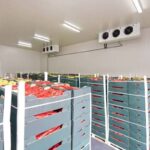 How to start an agribusiness with little capital