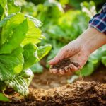How weather technology helps farmers