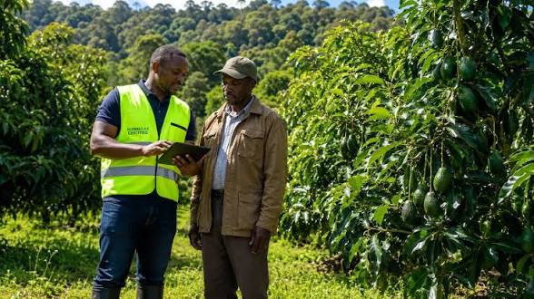 images - 2026-09-30T054808247 - Sacco Trend Magazine Two men in an orchard examine data on a tablet; one wearing a high-visibility vest, the other in a brown jacket and cap.
