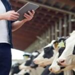 How to start an agricultural consultancy