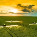 Importance of cold storage in agriculture