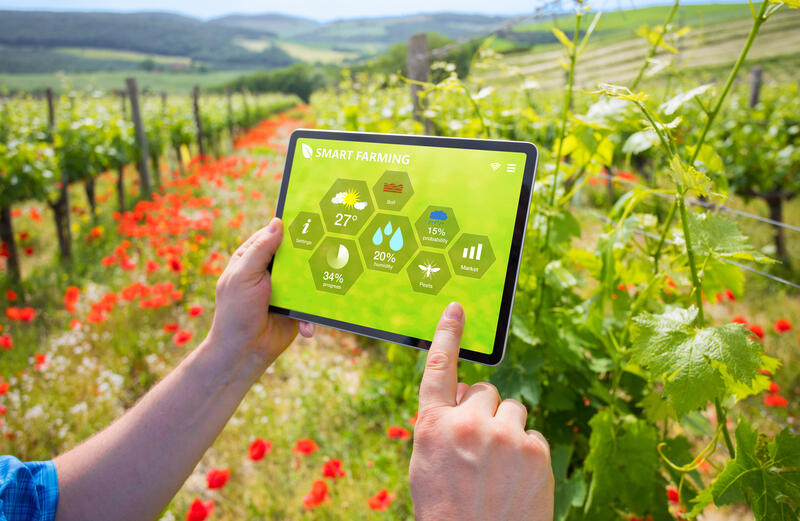 Person holds a tablet in a vineyard displaying a hexagonal smart farming dashboard