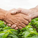 Agri-Processing and small-scale food manufacturing: Opportunities for agribusiness entrepreneurs in Kenya