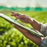 Vertical Farming: Profitable or Overhyped?