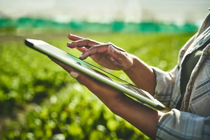 Person using a tablet outdoors in a green agricultural field.
