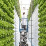 Agri-Fintech: New ways small farmers access credit