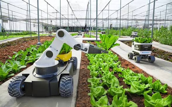 images - 2026-10-07T132138056 - Sacco Trend Magazine Autonomous wheeled robot with a robotic arm tending lettuce in a greenhouse; another mobile robot visible in the background.