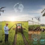 Agtech startup funding trends: Where investors are putting their money