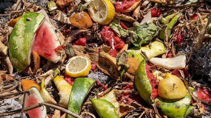 Rotting fruit scraps and peels in a compost pile, including watermelon rind, lemon slices, and citrus peels.