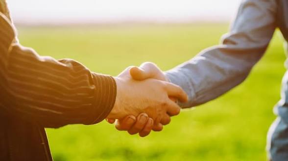 Two people shake hands outdoors on a sunny day, symbolizing an agreement or greeting in a green field.