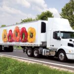 Import substitution: Producing high-value food locally instead of importing It