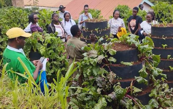 Group of people observing a farming workshop around stacked planter towers with leafy greens; an instructor notes beside them in a yellow cap.